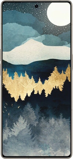 Силиконовый чехол Ночной пейзаж с лесом и горами для Infinix Note 50 Pro+ - 6493u-4041 изображение 