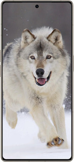 Силиконовый чехол Бегущий волк для Infinix Note 50 Pro+ - 826u-4041 изображение 