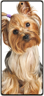 Силиконовый чехол Йоркширский терьер с хвостиком для Infinix Note 50 Pro+ - 930u-4041 изображение 