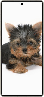 Силиконовый чехол Щенок йоркширского терьера для Infinix Note 50 Pro+ - 931u-4041 изображение 