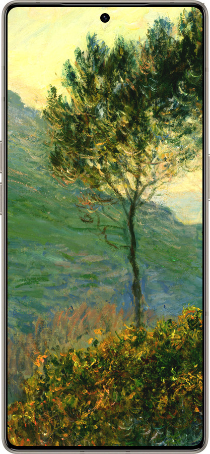 Силиконовый чехол Клод Моне для Infinix Note 50 Pro+ - 1193u-4041 изображение 