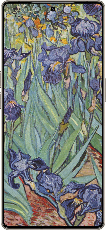 Силиконовый чехол Винсент Ван Гог. Ирисы для Infinix Note 50 Pro+ - 161u-4041 изображение 