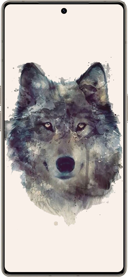 Силиконовый чехол Волк-арт для Infinix Note 50 Pro+ - 4163u-4041 изображение 