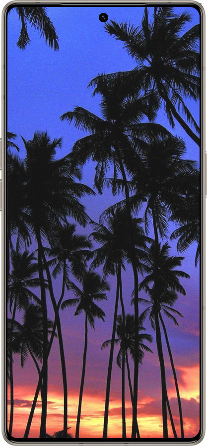 Силиконовый чехол Пальмы для Infinix Note 50 Pro+ - 4324u-4041 изображение 