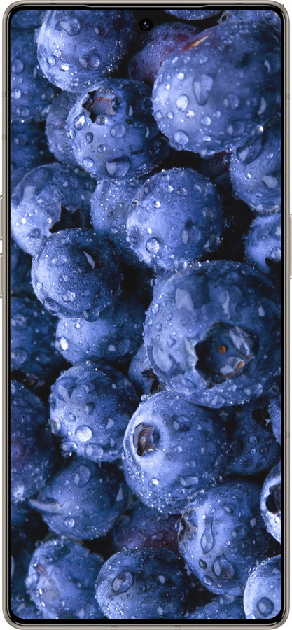 Силиконовый чехол Голубика для Infinix Note 50 Pro+ - 4459u-4041 изображение 