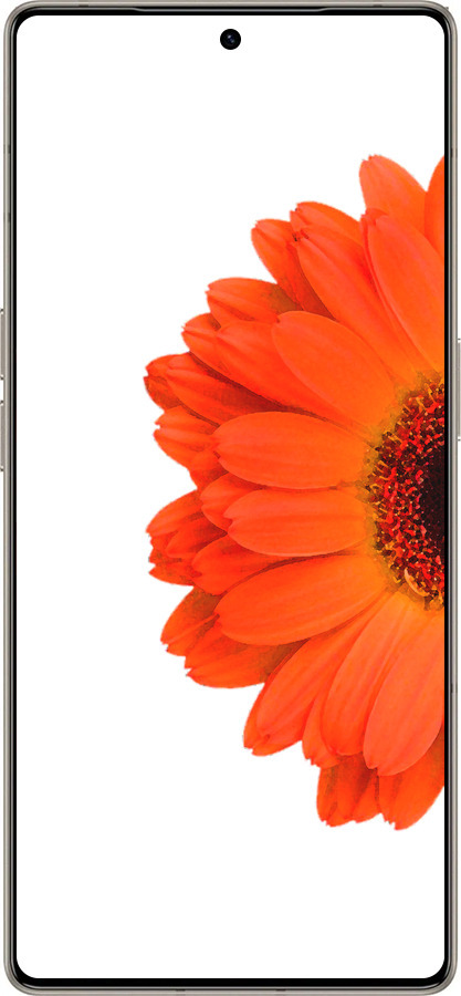 Силиконовый чехол Гербера 1 для Infinix Note 50 Pro+ - 4534u-4041 изображение 