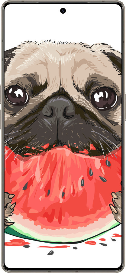 Силіконовий чехол Мопс і кавун для Infinix Note 50 Pro+ - 4665u-4041 изображение 