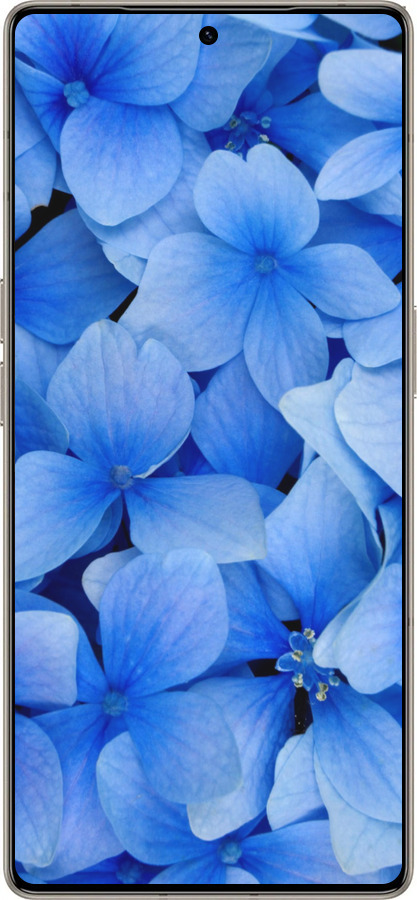 Силиконовый чехол Синие цветы для Infinix Note 50 Pro+ - 526u-4041 изображение 