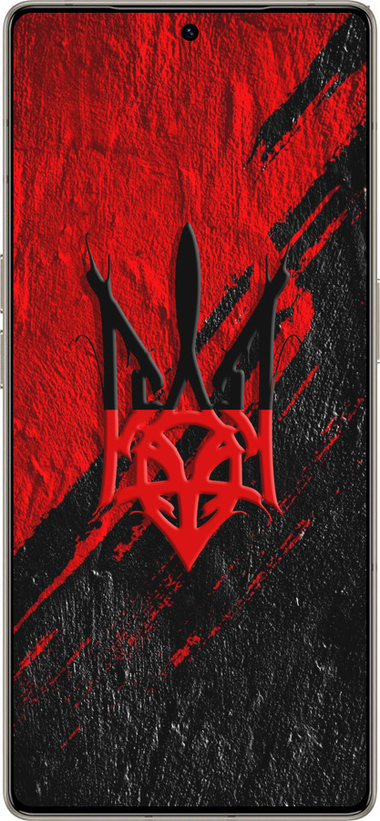 Силиконовый чехол Герб v4 для Infinix Note 50 Pro+ - 5293u-4041 изображение 