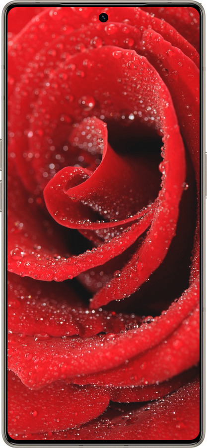 Силиконовый чехол Красная роза для Infinix Note 50 Pro+ - 529u-4041 изображение 