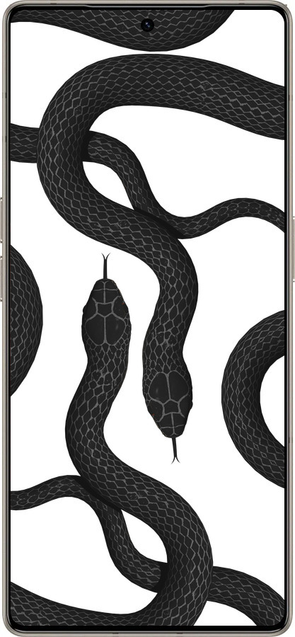 Силиконовый чехол Змеи для Infinix Note 50 Pro+ - 5473u-4041 изображение 