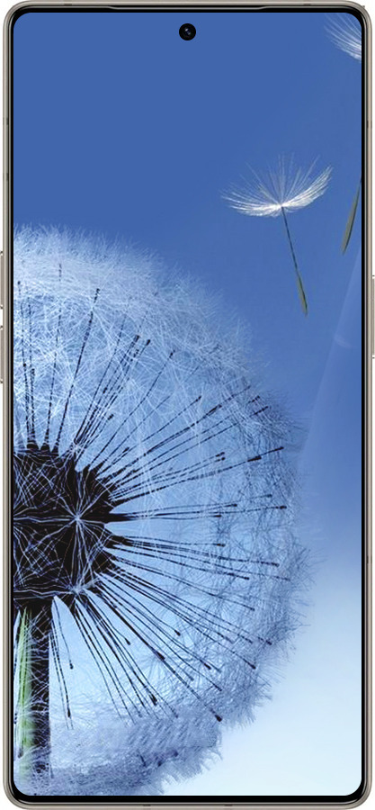 Силиконовый чехол Одуванчик для Infinix Note 50 Pro+ - 6005u-4041 изображение 