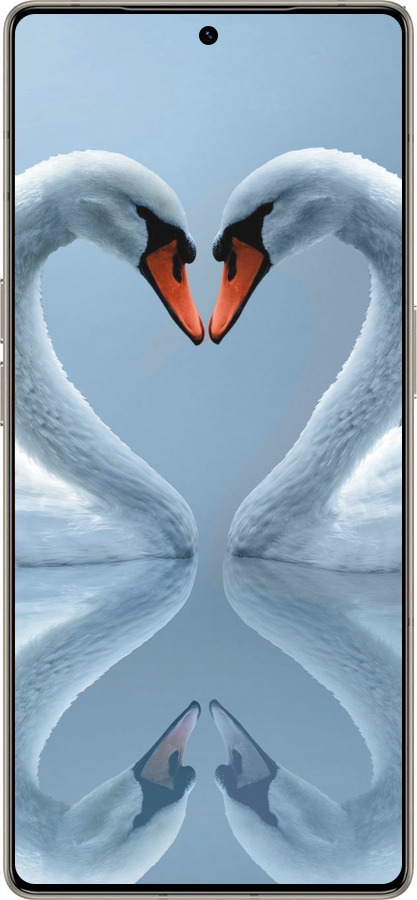 Силиконовый чехол Лебеди для Infinix Note 50 Pro+ - 6007u-4041 изображение 