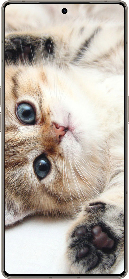 Силиконовый чехол Котик для Infinix Note 50 Pro+ - 6024u-4041 изображение 