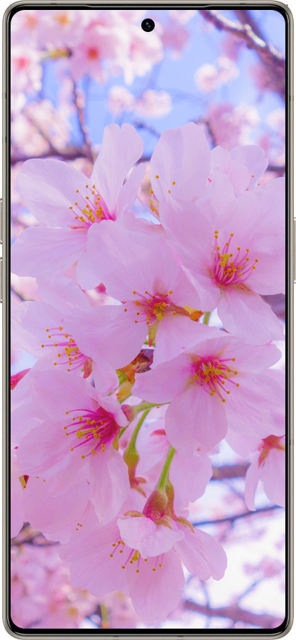 Силиконовый чехол Сакура для Infinix Note 50 Pro+ - 6029u-4041 изображение 