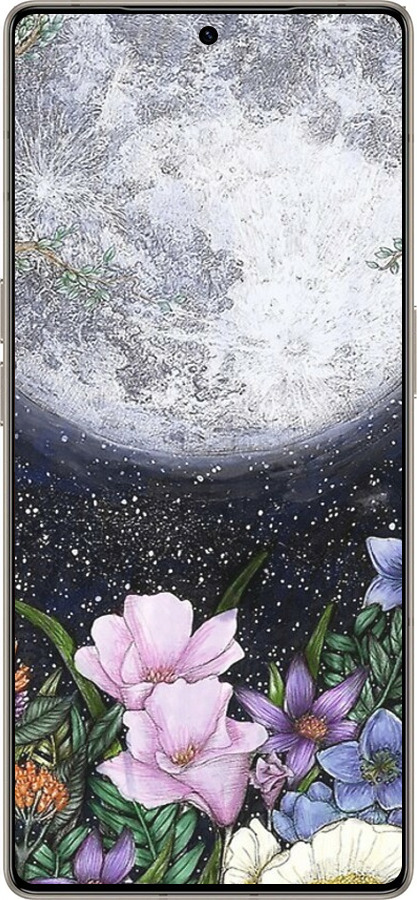 Силіконовий чехол Північ у саду для Infinix Note 50 Pro+ - 6259u-4041 изображение 