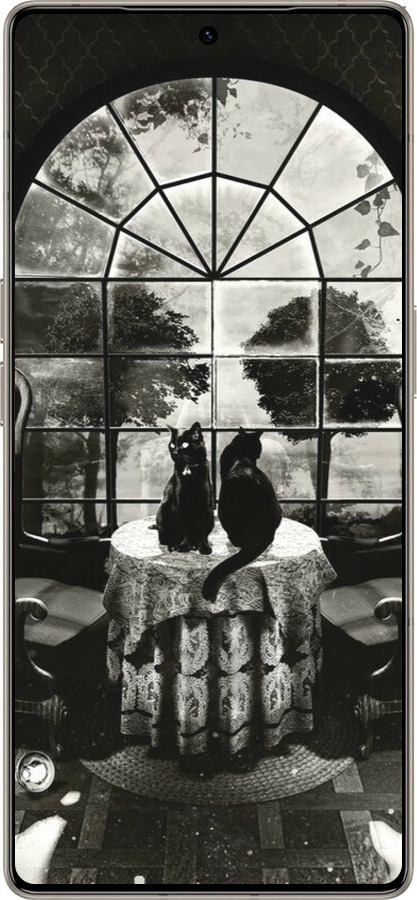 Силиконовый чехол Череп и коты для Infinix Note 50 Pro+ - 6432u-4041 изображение 