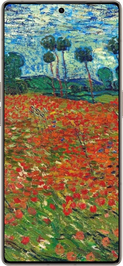 Силиконовый чехол Винсент Ван Гог-Маковое поле для Infinix Note 50 Pro+ - 6466u-4041 изображение 