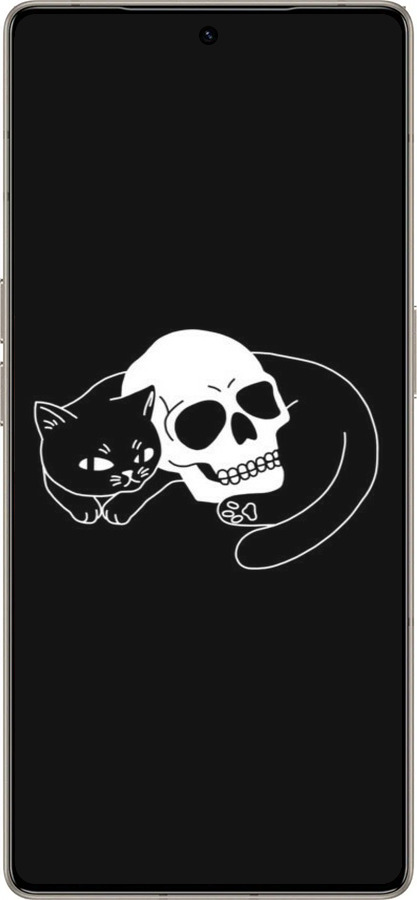 Силиконовый чехол С изображением кота и черепа для Infinix Note 50 Pro+ - 6491u-4041 изображение 