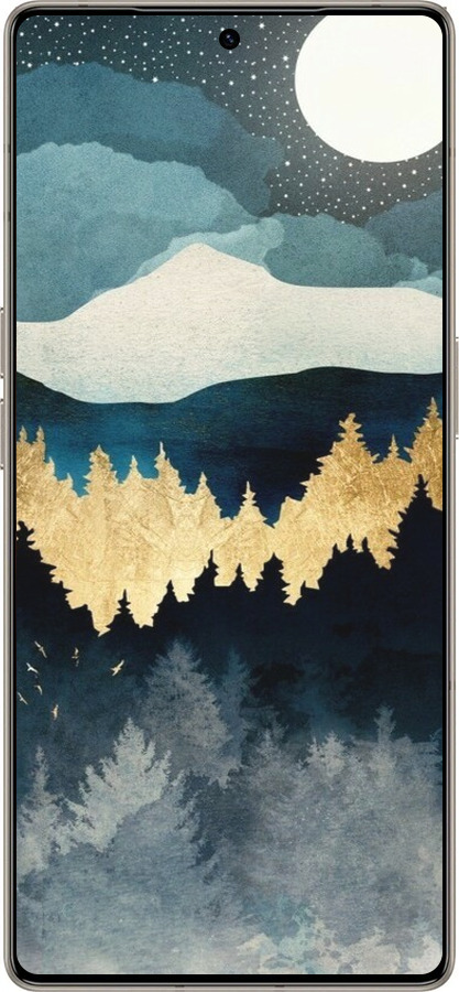Силиконовый чехол Ночной пейзаж с лесом и горами для Infinix Note 50 Pro+ - 6493u-4041 изображение 