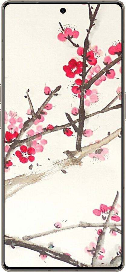 Силиконовый чехол Принт с изображением цветения сакуры для Infinix Note 50 Pro+ - 6545u-4041 изображение 