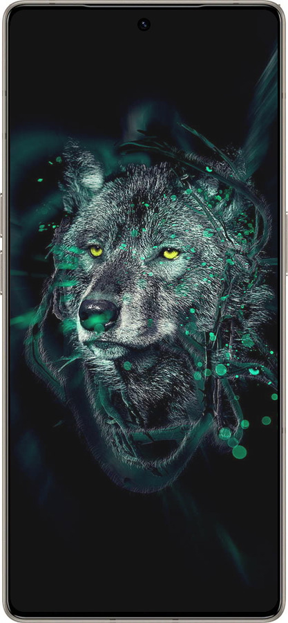 Силиконовый чехол Wolf для Infinix Note 50 Pro+ - 6610u-4041 изображение 