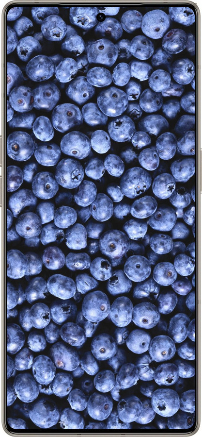 Силиконовый чехол Черника для Infinix Note 50 Pro+ - 851u-4041 изображение 