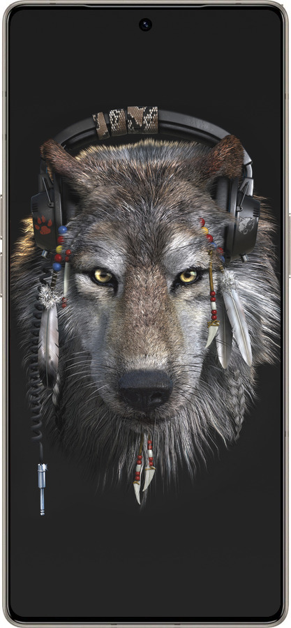 Силіконовий чехол Вовк-меломан для Infinix Note 50 Pro+ - 875u-4041 изображение 