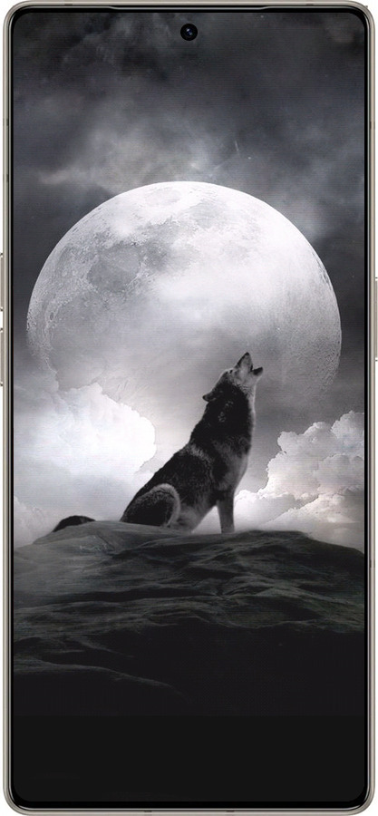 Силиконовый чехол Воющий волк для Infinix Note 50 Pro+ - 934u-4041 изображение 