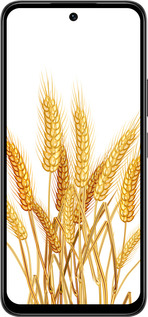 Силиконовый чехол Колоски пшеници для Infinix Smart 10 PLus - 5866u-4108 изображение 