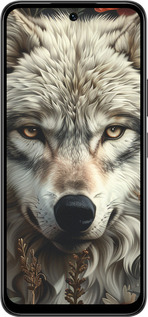 Силиконовый чехол Волчий взгляд для Infinix Smart 10 PLus - 6066u-4108 изображение 