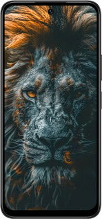 Силиконовый чехол Лев в сумерках для Infinix Smart 10 PLus - 6154u-4108 изображение 