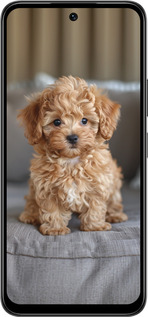 Силиконовый чехол Mini-maltipoo для Infinix Smart 10 PLus - 6158u-4108 изображение 