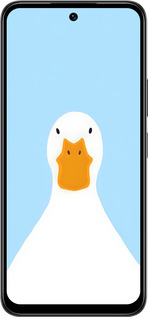 Силиконовый чехол Гусь для Infinix Smart 10 PLus - 6350u-4108 изображение 