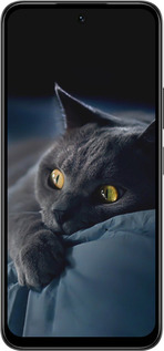 Силиконовый чехол Дымчатый кот для Infinix Smart 10 PLus - 825u-4108 изображение 