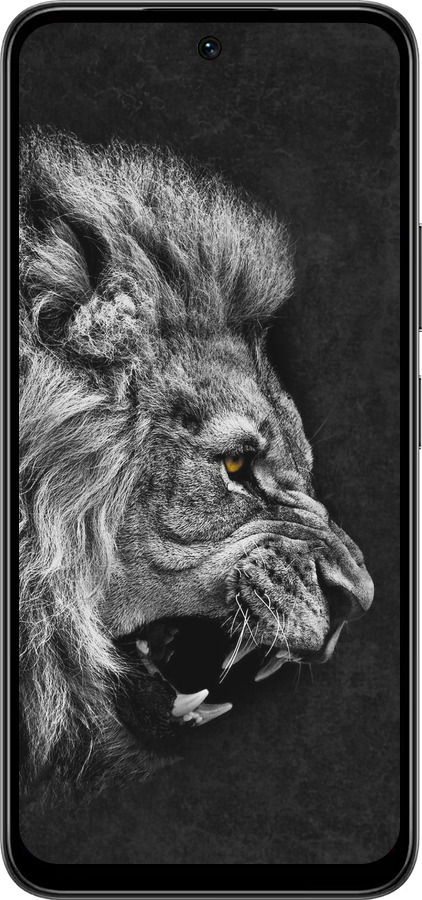 Силиконовый чехол Лев для Infinix Smart 10 PLus - 1080u-4108 изображение 