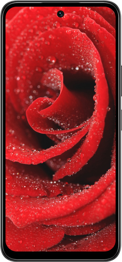 Силиконовый чехол Красная роза для Infinix Smart 10 PLus - 529u-4108 изображение 