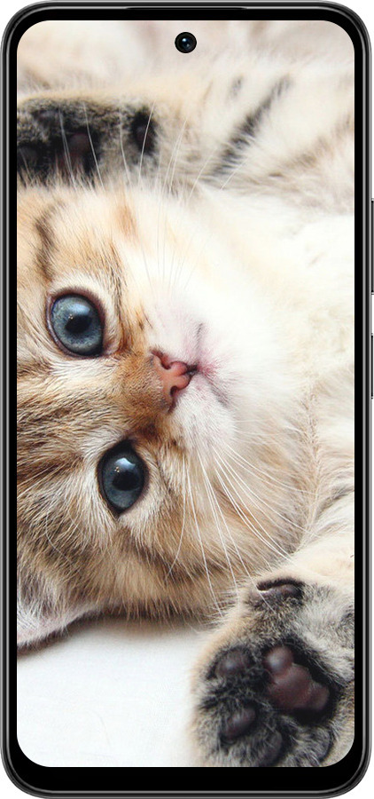 Силиконовый чехол Котик для Infinix Smart 10 PLus - 6024u-4108 изображение 