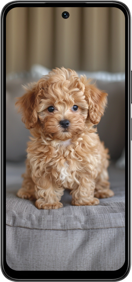 Силиконовый чехол Mini-maltipoo для Infinix Smart 10 PLus - 6158u-4108 изображение 