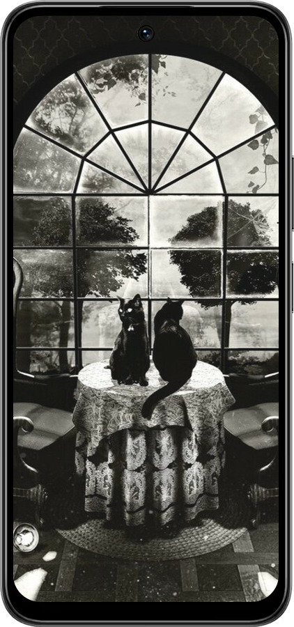 Силиконовый чехол Череп и коты для Infinix Smart 10 PLus - 6432u-4108 изображение 