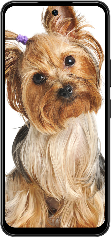 Силиконовый чехол Йоркширский терьер с хвостиком для Infinix Smart 10 PLus - 930u-4108 изображение 