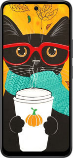 Силиконовый чехол Осенний кот для Infinix Smart 10 - 4026u-4104 изображение 