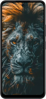 Силиконовый чехол Лев в сумерках для Infinix Smart 10 - 6154u-4104 изображение 