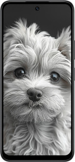 Силиконовый чехол Мальтипу на чорном фоне для Infinix Smart 10 - 6156u-4104 изображение 