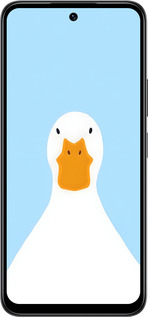 Силиконовый чехол Гусь для Infinix Smart 10 - 6350u-4104 изображение 