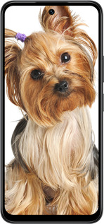 Силиконовый чехол Йоркширский терьер с хвостиком для Infinix Smart 10 - 930u-4104 изображение 