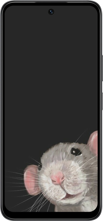 Силиконовый чехол The Peeking Rat для Infinix Smart 10 - 6442u-4104 изображение 