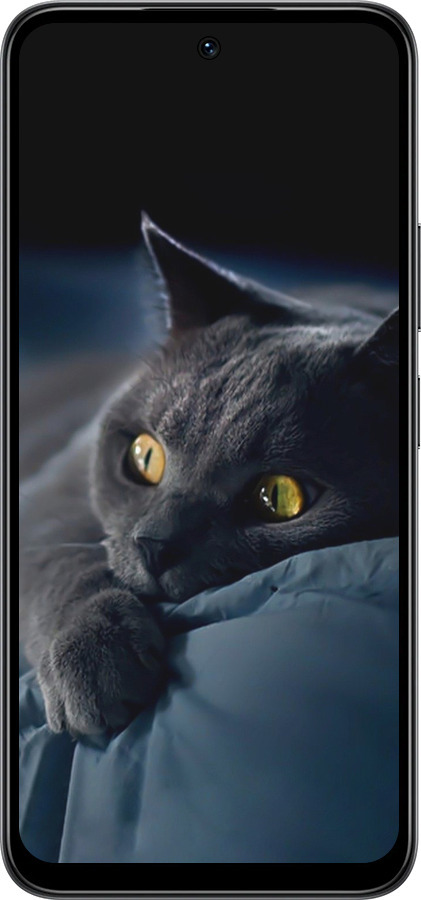 Силиконовый чехол Дымчатый кот для Infinix Smart 10 - 825u-4104 изображение 