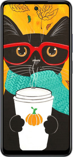 Силиконовый чехол Осенний кот для Infinix Smart 8 Plus - 4026u-3677 изображение 