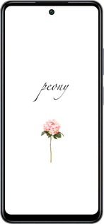 Силіконовий чехол Півонія для Infinix Smart 8 Plus - 4366u-3677 изображение 